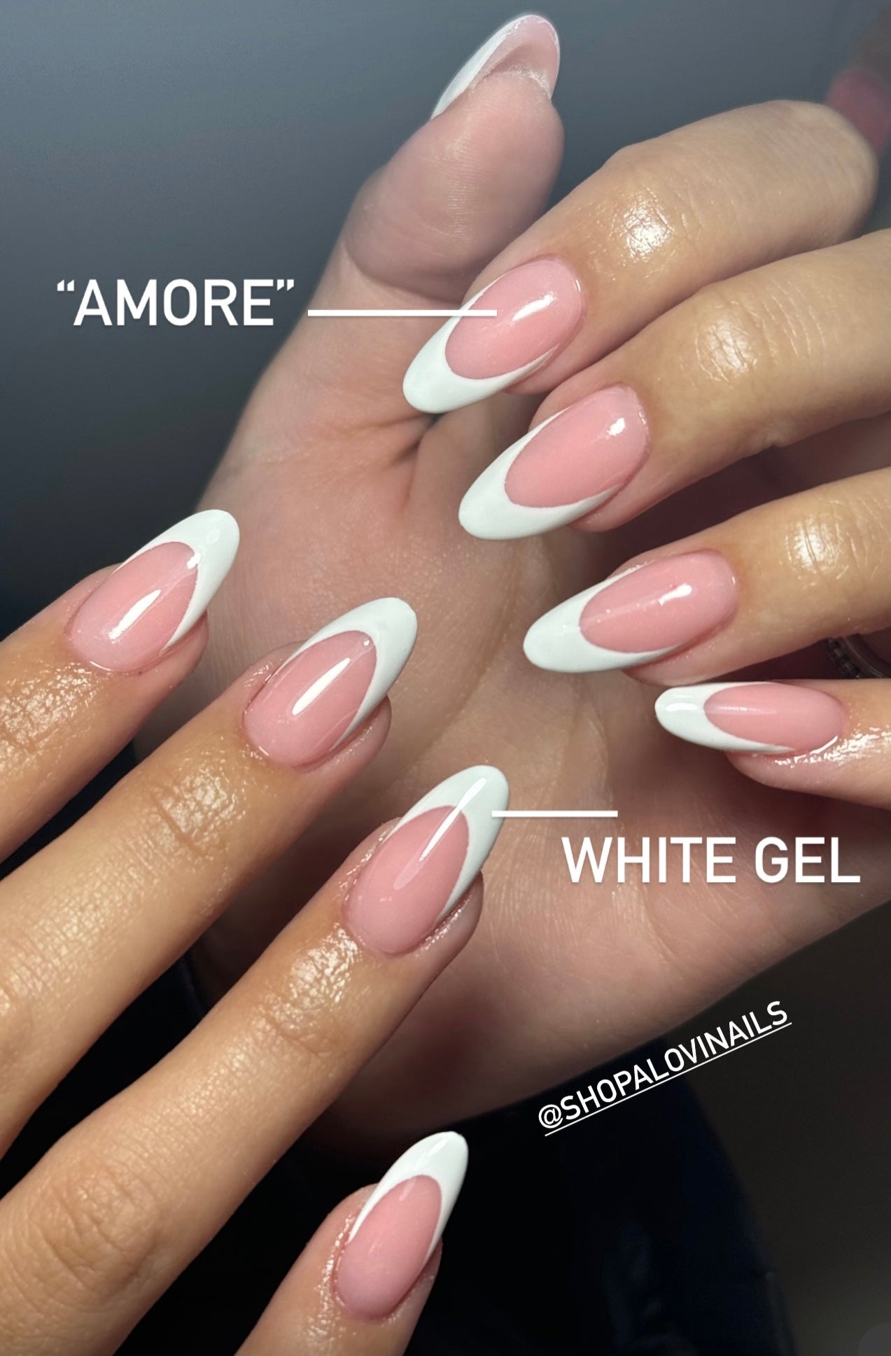 Amore - Acrylic Cover